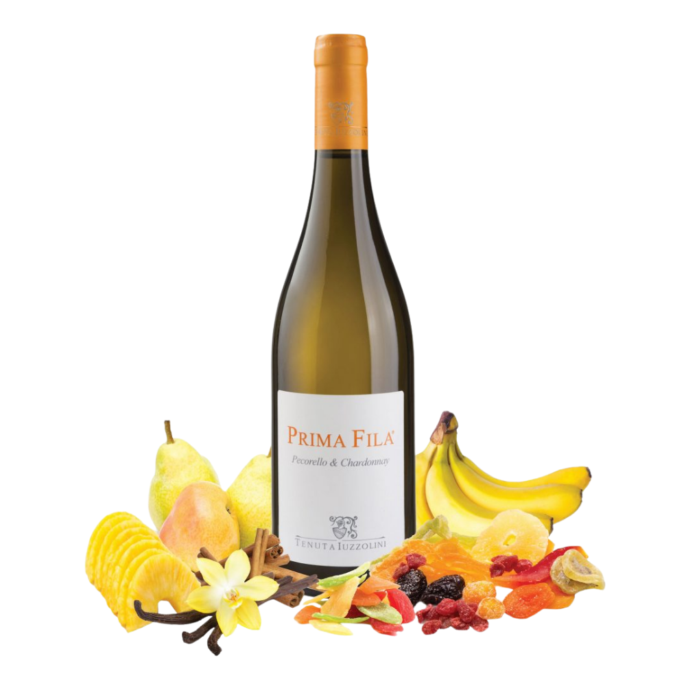 Vino Bianco Prima Fila Iuzzolini