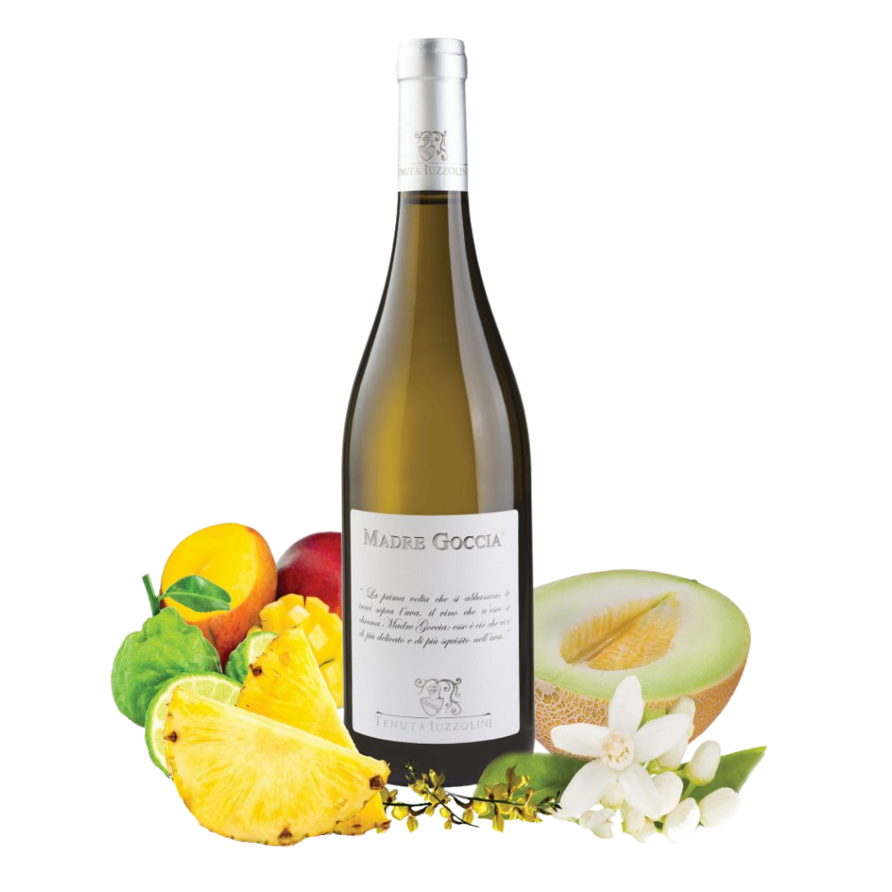 Vino Bianco Madre Goccia Iuzzolini